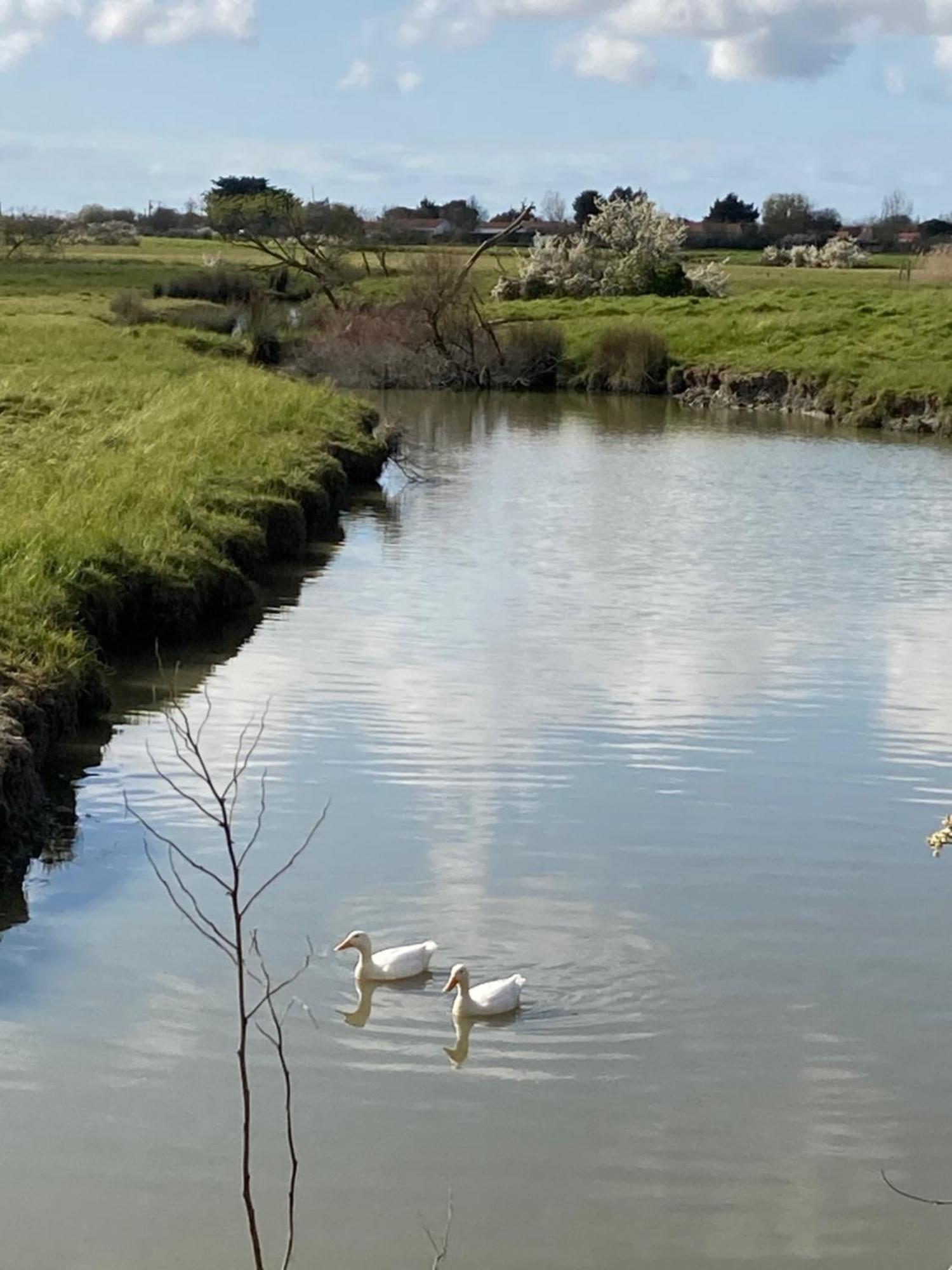 La Maison Des Marais De Holiday home *